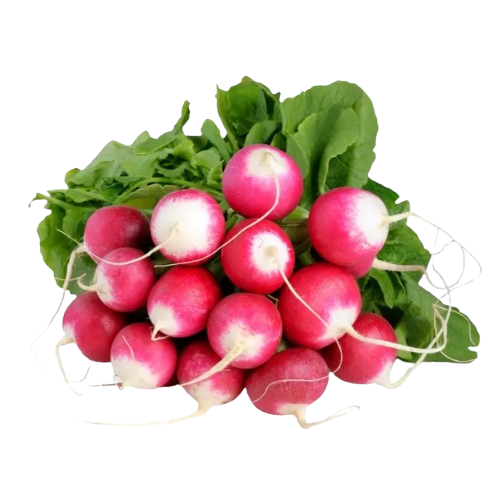 Редис червона з білим кінчиком 3гр Смачний Житомир