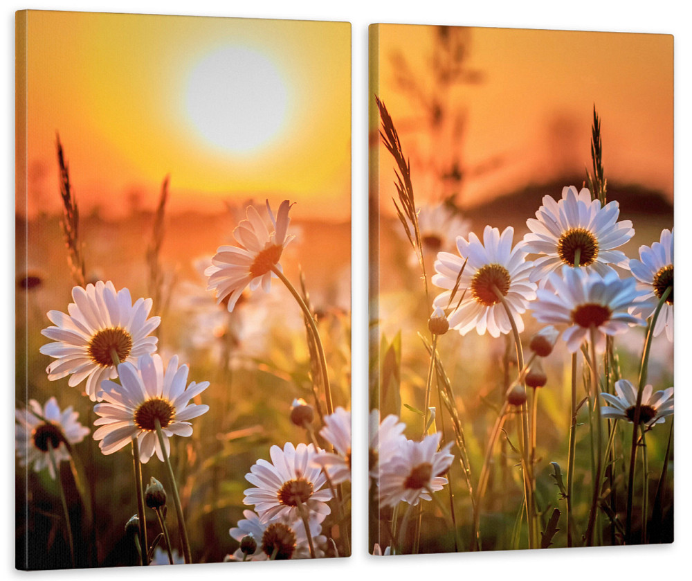 Модульная картина в гостиную / спальню Ромашки TLV-2_003 120х170  см Киев - изображение 1