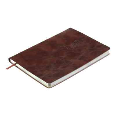 Книга записна Buromax Bellagio 96 аркушів А5 у клітинку коричневий (BM.295118-19) Вінниця