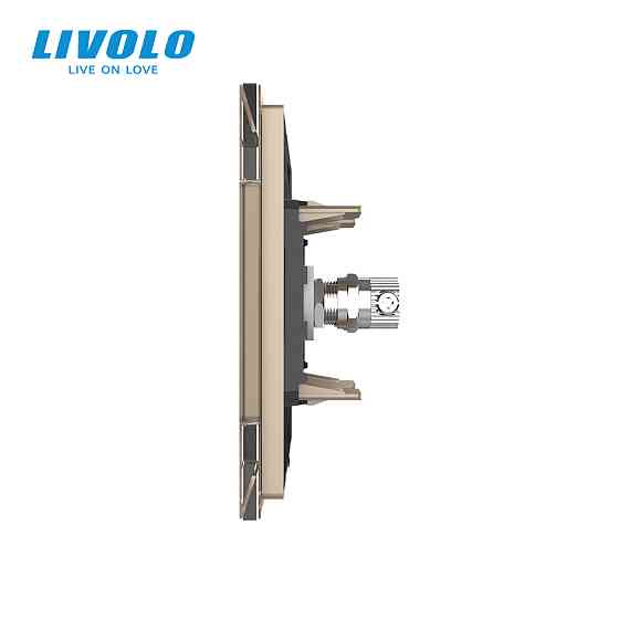 LIVOLO Розетка телевізійна Livolo золото скло (VL-C791V-13) Коломия