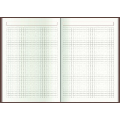 Еженедельник Economix датированный 2024 SATIN фисташковый, А5 (E21612-67) Винница - изображение 6