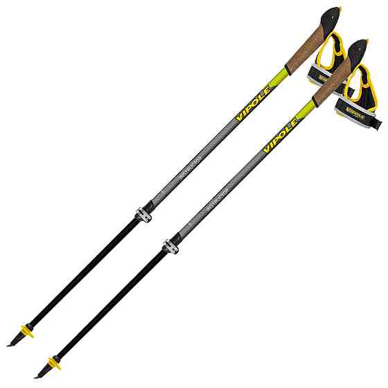 Палки для скандинавской ходьбы Vipole Instructor Vario QL Green DLX (S25 26) Вінниця