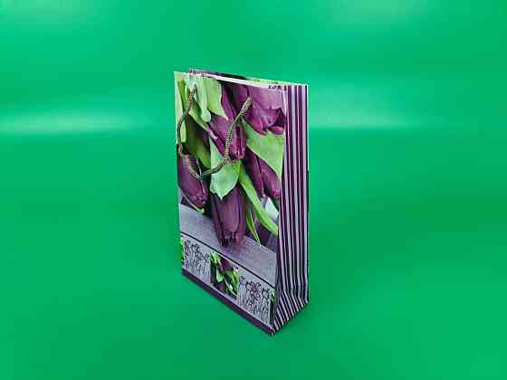 Бумажный пакет подарочный Средний 17/26/8 (артSV-124) (12 шт) Харьков