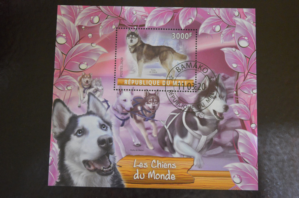 Малі. Марки. Фауна. Блок. 2020 рік (В-4) Полтава - фото 1