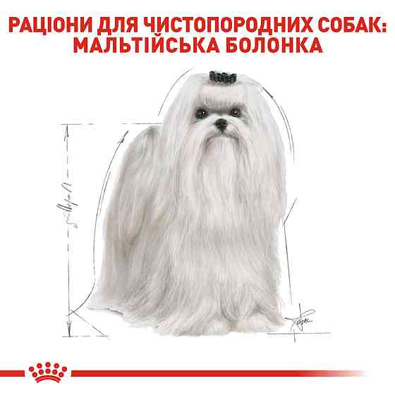 Корм для дорослих собак ROYAL CANIN MALTESE ADULT 1.5 кг Київ