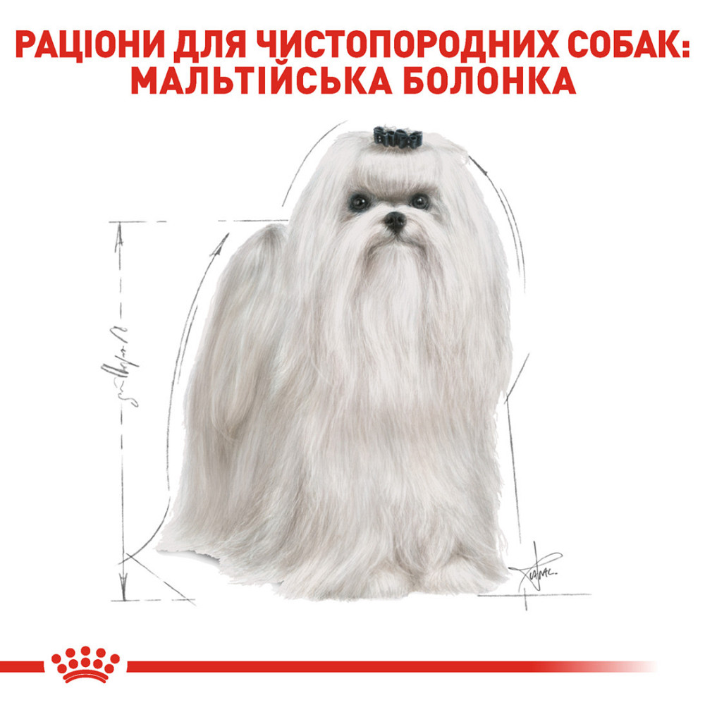 Корм для дорослих собак ROYAL CANIN MALTESE ADULT 1.5 кг Київ - фото 3