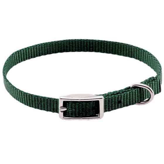 Coastal Nylon Web КОСТАЛ НАЙЛОН ВЕБ ошейник для собак, 1х25см Киев