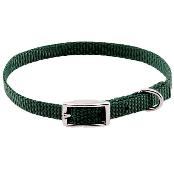 Coastal Nylon Web КОСТАЛ НАЙЛОН ВЕБ ошейник для собак, 1х25см Киев - изображение 1