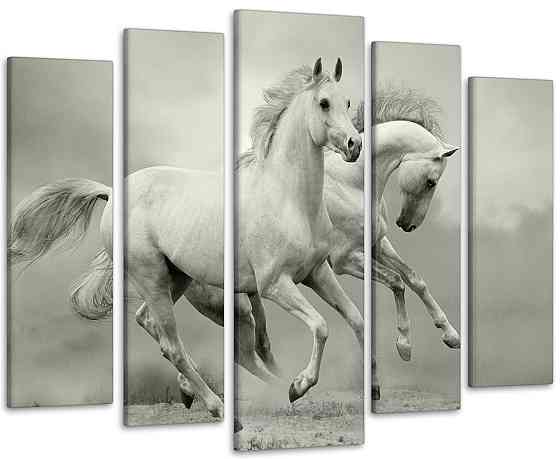 Модульна картина Коні Art-118_5 Київ