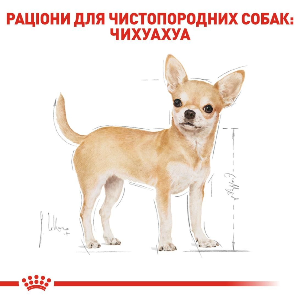 Royal Canin Chihuahua Adult (Роял Канін Чихуахуа Едалт) сухий корм для собак породи чихуахуа від 8 місяців Запоріжжя - фото 5
