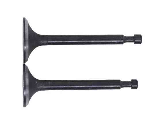 Клапаны, пара мотоблок мотоблок 168F Мукачево