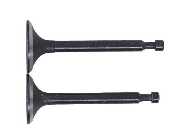 Клапаны, пара мотоблок мотоблок 168F Мукачево - изображение 3