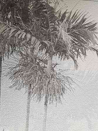 Шпалери вінілові на флізелін Marburg 82207 Giulia пальми дерева гілки листя сірі блакитні на білому Київ