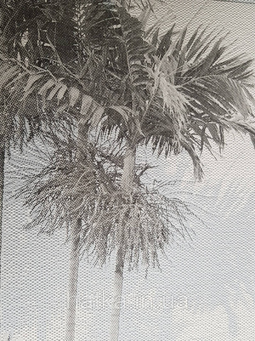 Шпалери вінілові на флізелін Marburg 82207 Giulia пальми дерева гілки листя сірі блакитні на білому Київ - фото 2