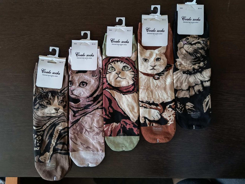 Шкарпетки жіночі з кішками. У наборі з 5 шт. Яскраві жіночі шкарпетки з приколами. Coalo socks. Розмір 36-41 Київ - фото 2