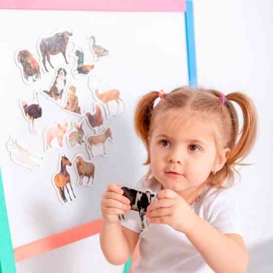 Набор магнитов Magdum 