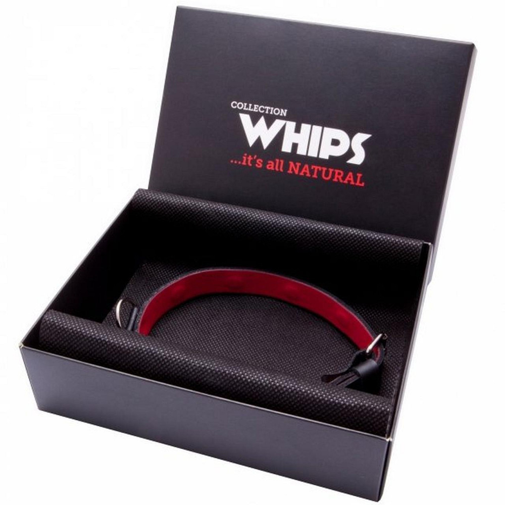 Ошейник - Whips Collection Collar For Her Sex Aura Киев - изображение 1