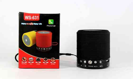 Колонка портативная SPS WS 631+BT, Bluetooth колонка, компактная мини колонка, акустическая система Полтава