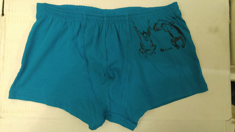 Трусы мужские Шорты Lans 07/029 Киев - изображение 5