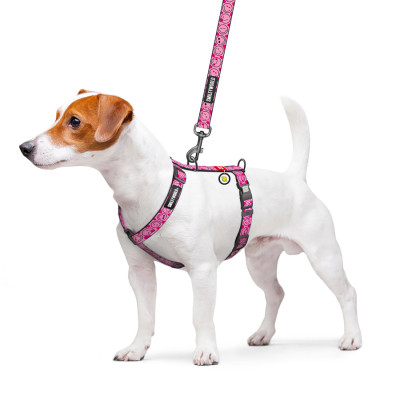 Шлей для собак WAUDOG Nylon анатомическая H-образная с QR-паспортом "Смайлики на розовом" пластиковый фастекс, L (345-0187) Винница - изображение 3