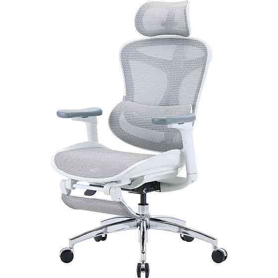 Кресло офисное Sihoo Doro C300L Mesh White with footrest (Doro-C300L-A3-102-JT) ( 14112 ) Харьков
