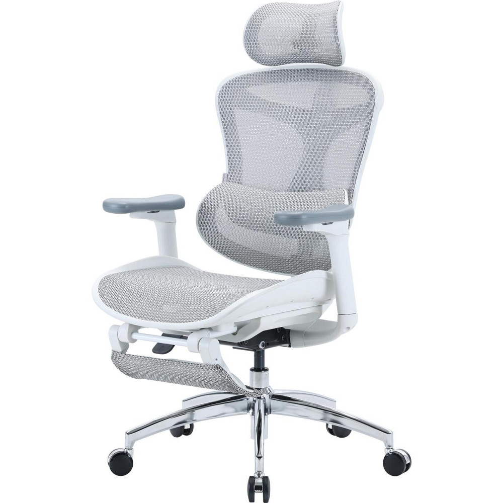 Кресло офисное Sihoo Doro C300L Mesh White with footrest (Doro-C300L-A3-102-JT) ( 14112 ) Харьков - изображение 3