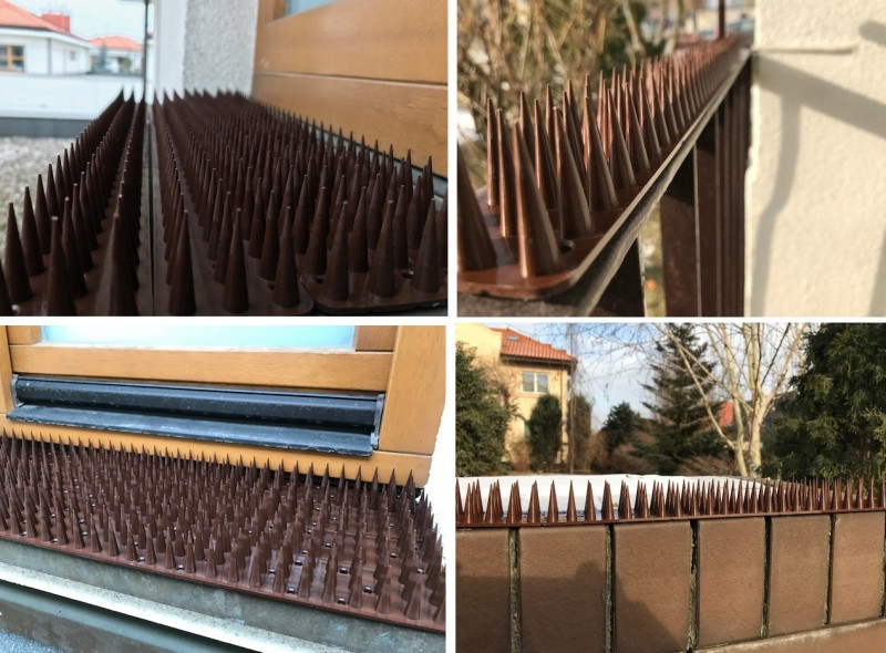 Шипы от птиц и животных 0.5 м (высота 3 см), коричневые Днепр - изображение 7