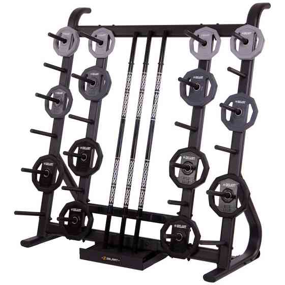 Стійка вертикальна для млинців (дисків) і бодибарів Zelart-3652 Київ