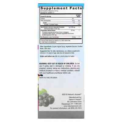 Вітамінно-мінеральний комплекс Nature&apos;s Answer Чорна бузина для дітей, 4000 мг, Sambucus Kid&apos;s Formula, 120 мл (NTA-26044) Вінниця