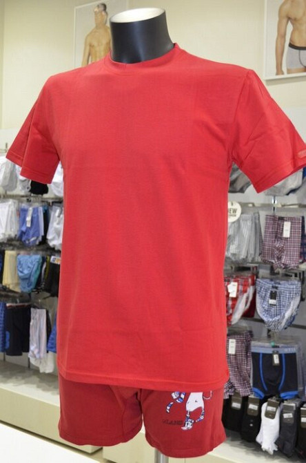 Футболка чоловіча Lans 12/001 XXL, Червоний Київ - фото 1