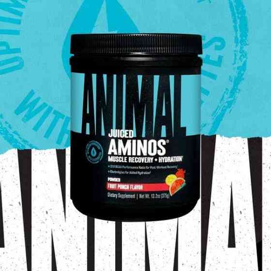 A. Juiced Aminos + Hydration 375g (Fruit Punch) Луцьк
