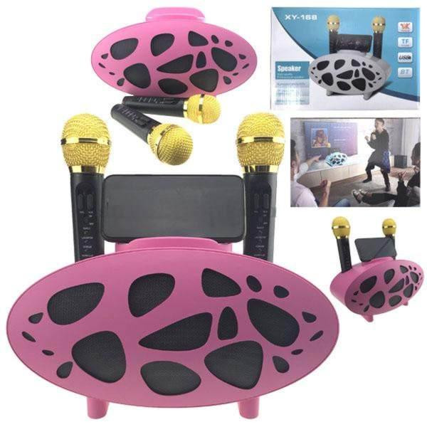 Музична колонка караоке з 2 мікрофонами Київ - фото 1