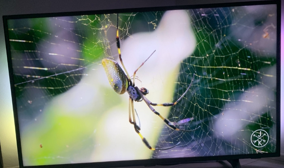 Телевізор PHILIPS 50" AMBILIGHT 4K Smart TV Київ - фото 7