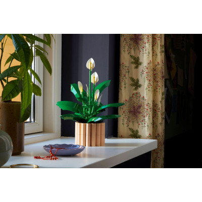 Конструктор LEGO Botanicals Спатифиллум (11504) Винница - изображение 7