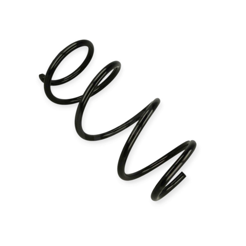 Пружина Рено Laguna III 2.0 Turbo, 2.0dCi (07-15) передняя Мукачево - изображение 1