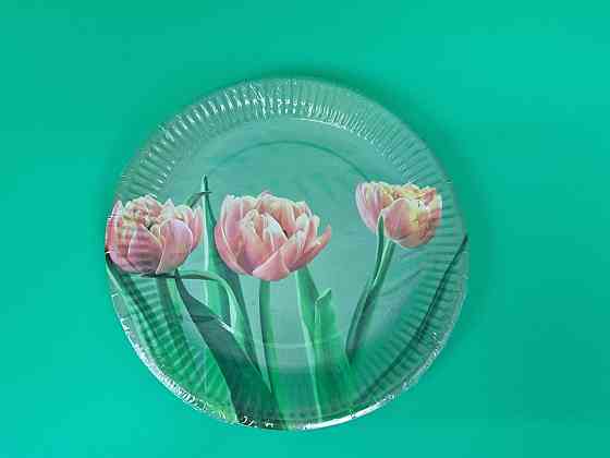 Тарілка паперова 23 см "No66 10 шт (1 пачка) Харків