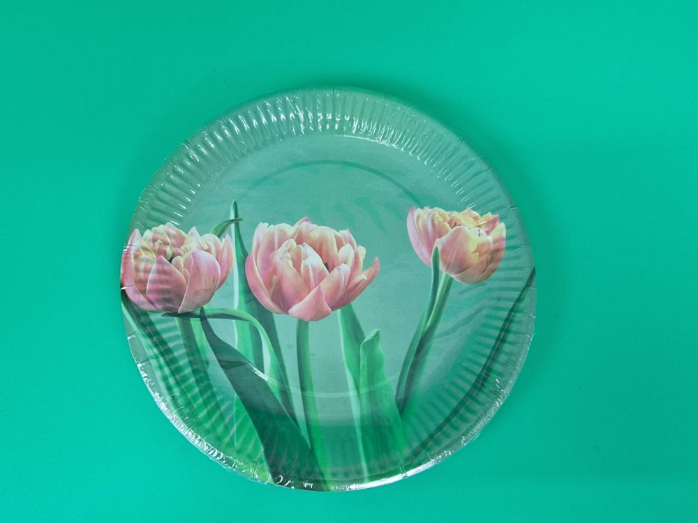 Тарелка бумажная 23см