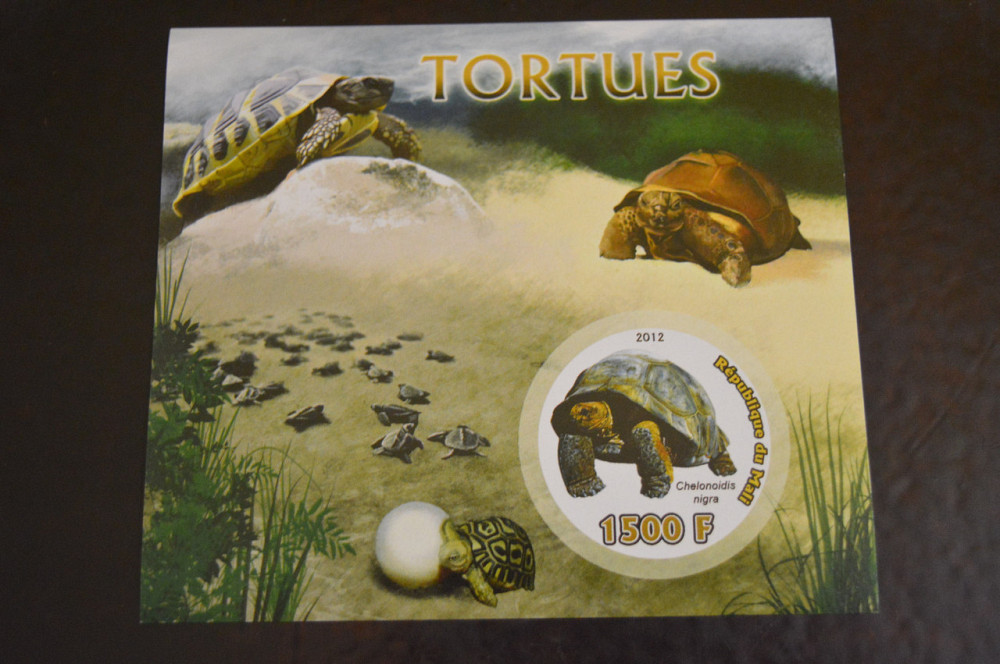 Мали. Фауна. Блок. 2014 год (А-20) Полтава - изображение 1