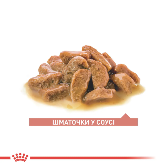 Royal Canin Ageing 11+ Gravy (Роял Канін Ейджинг 11+) вологий корм для кішок від 11 років 85 г х 12 шт. Запоріжжя