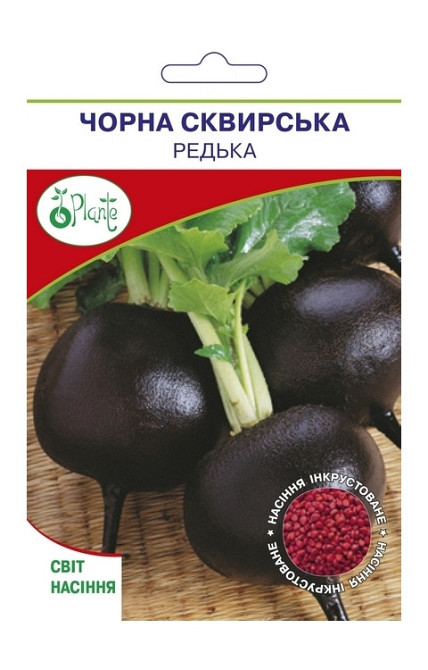 Насіння Редьки чорної Сквирська Київ - фото 1