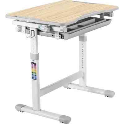 Парта со стулом FunDesk Piccolino III Grey-w Винница