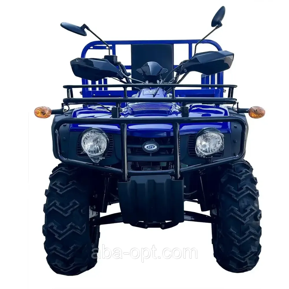 Квадроцикл FORTE ATV-250BS-T Об'єм 232 см³ шини 23×7-10"/22х10-10" 12.64 к.с. в інтернет-магазині дешево Одеса - фото 3