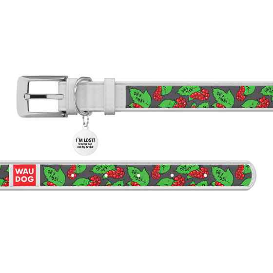 Нашийник для собак шкіряний WAUDOG Design з QR-паспортом, малюнок "Каліна", XXS, Ш 12 мм, Д 18-24 см, білий Вінниця