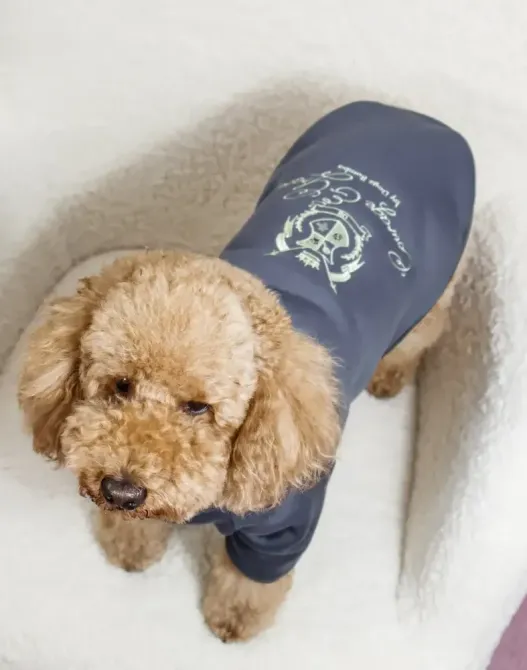 Толстовка для собак на блискавці Dogs Bomba тринитка з начосом вишивка Кураж сіра 8 Одеса - фото 4
