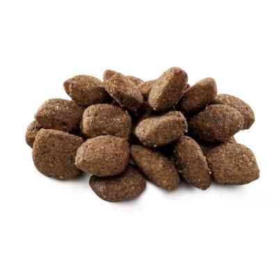 Сухий корм для собак Brit Premium Dog Sensitive Lamb 15 кг (8595602526642) Вінниця