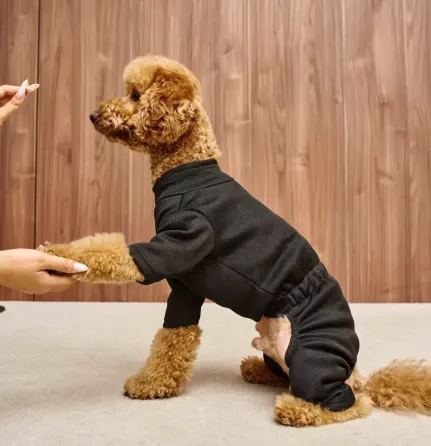 Костюм для собак трикотажный в рубчик Dogs Bomba утепленный комбинезон весна осень 7, Черный Одесса