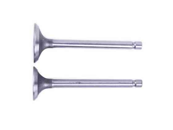 Клапаны на дизельный двигатель мотоблок дизель 170D (2 шт) Мукачево