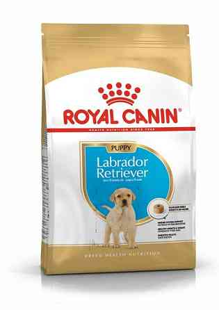 Royal Canin Labrador Retriever Puppy (Рояв Канін Лабрадор Ретривер Паппі) сухий корм для цуценят 12 кг. Запоріжжя