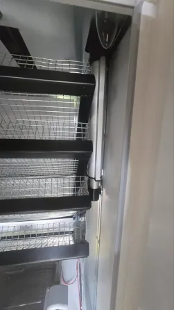 Інкубатор автоматичний БестПро-360акб Київ