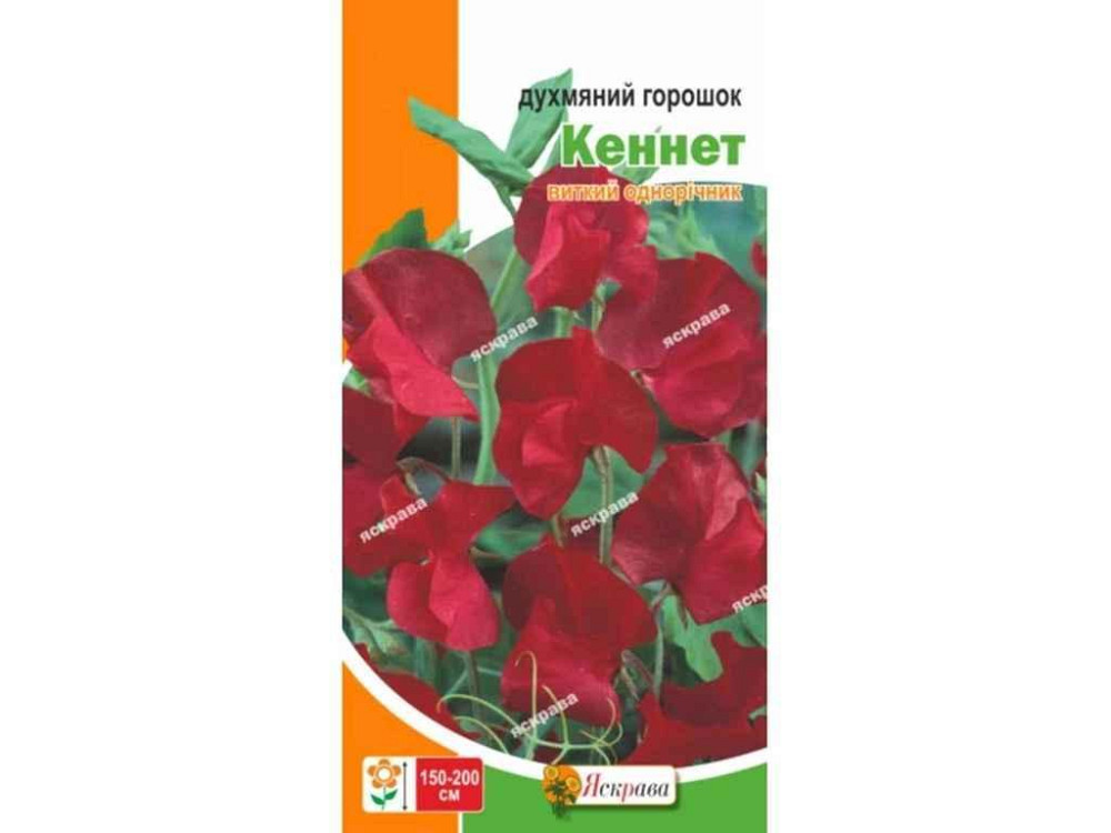 Горошок духмяний Кеннет червоний (20 пачок) 1г ТМ ЯСКРАВА Київ - фото 1